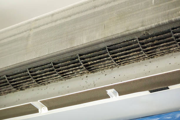 Best Ductwork Cleaning Services  in Miramar Beach, FL